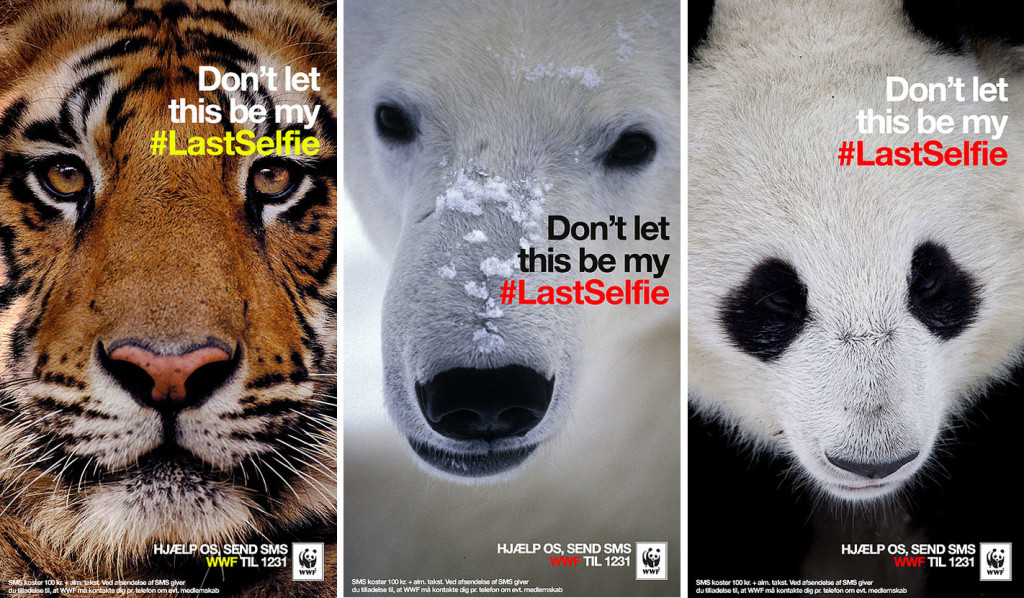 World Wildlife Foundation's "Last Selfie" campaign used Snapchat to market to the Millennial demographic.